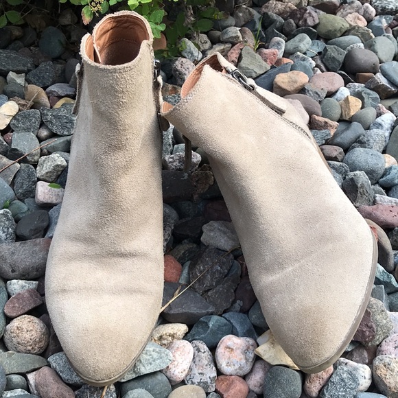 🍄 Frye & Co Ash Suede Ankle Bootie - Picture 12 of 14